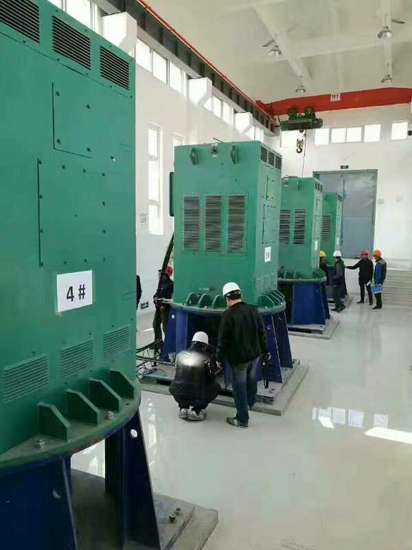 龙马潭某污水处理厂使用我厂的立式高压电机安装现场