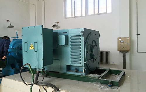 龙马潭某水电站工程主水泵使用我公司高压电机